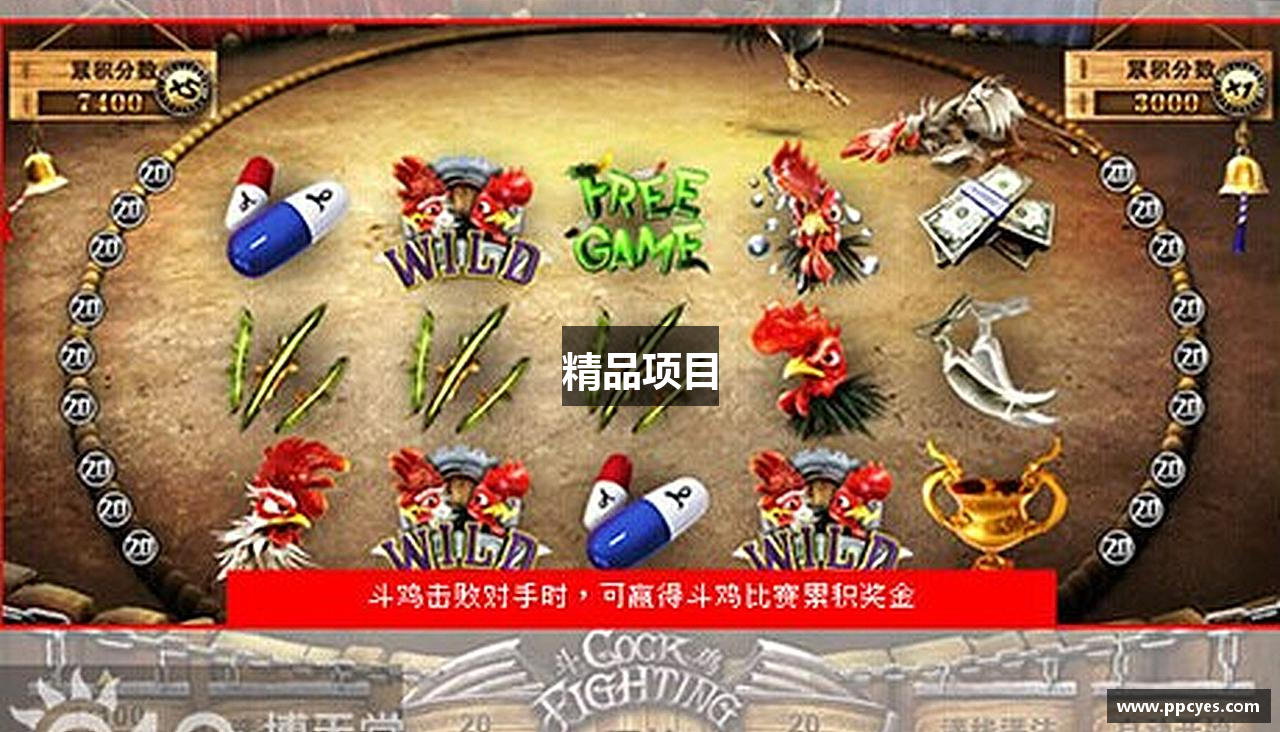 精品项目